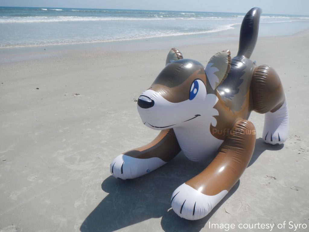 Syro - Puffypaws wolf at the beach